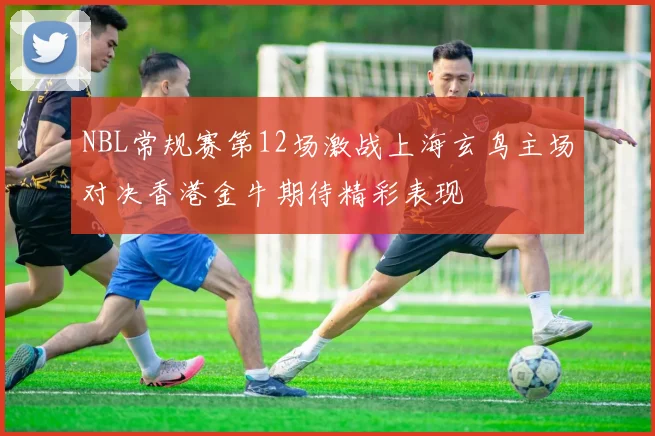 NBL常规赛第12场激战上海玄鸟主场对决香港金牛期待精彩表现