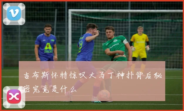 吉布斯怀特惊叹大马丁神扑背后秘密究竟是什么