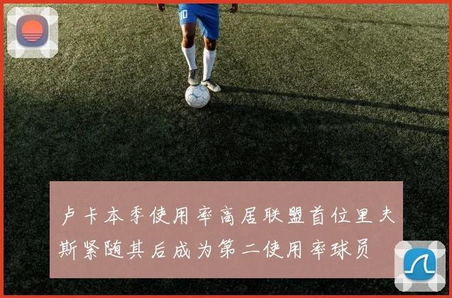 卢卡本季使用率高居联盟首位里夫斯紧随其后成为第二使用率球员